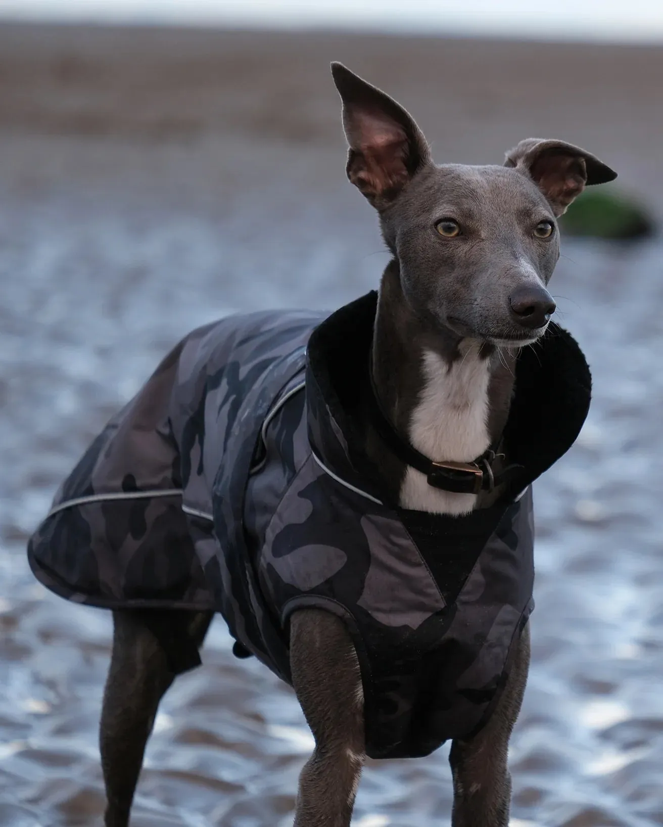 Extra Small Dryrobe Dog (2022) in Camo & Grey