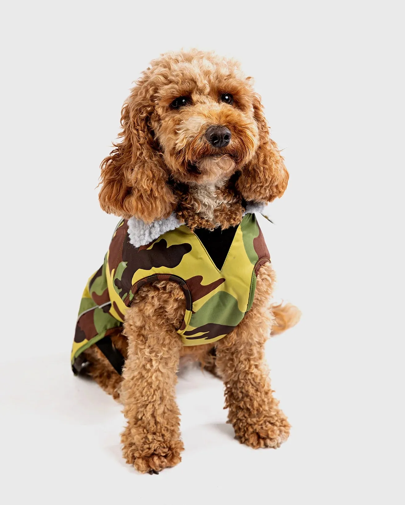 Extra Small Dryrobe Dog (2022) in Camo & Grey
