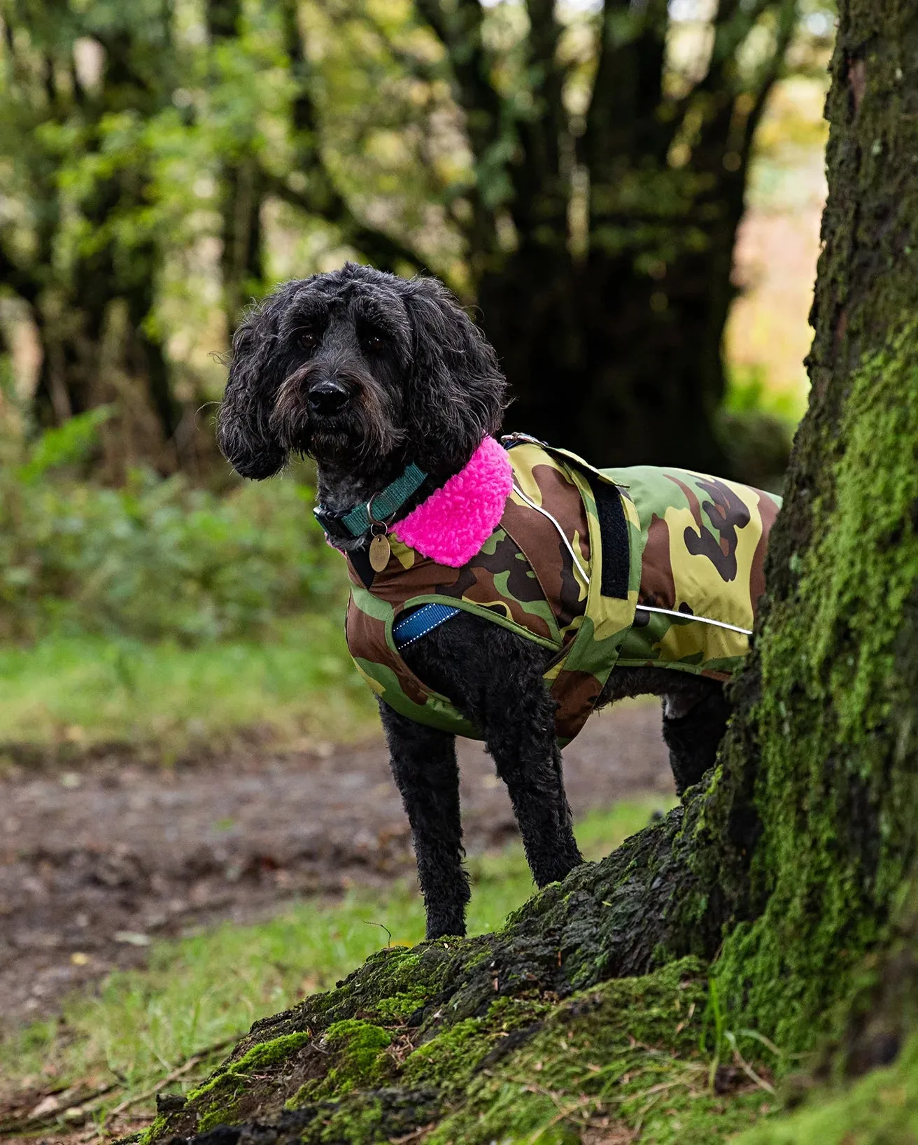 Extra Small Dryrobe Dog (2022) in Camo & Grey