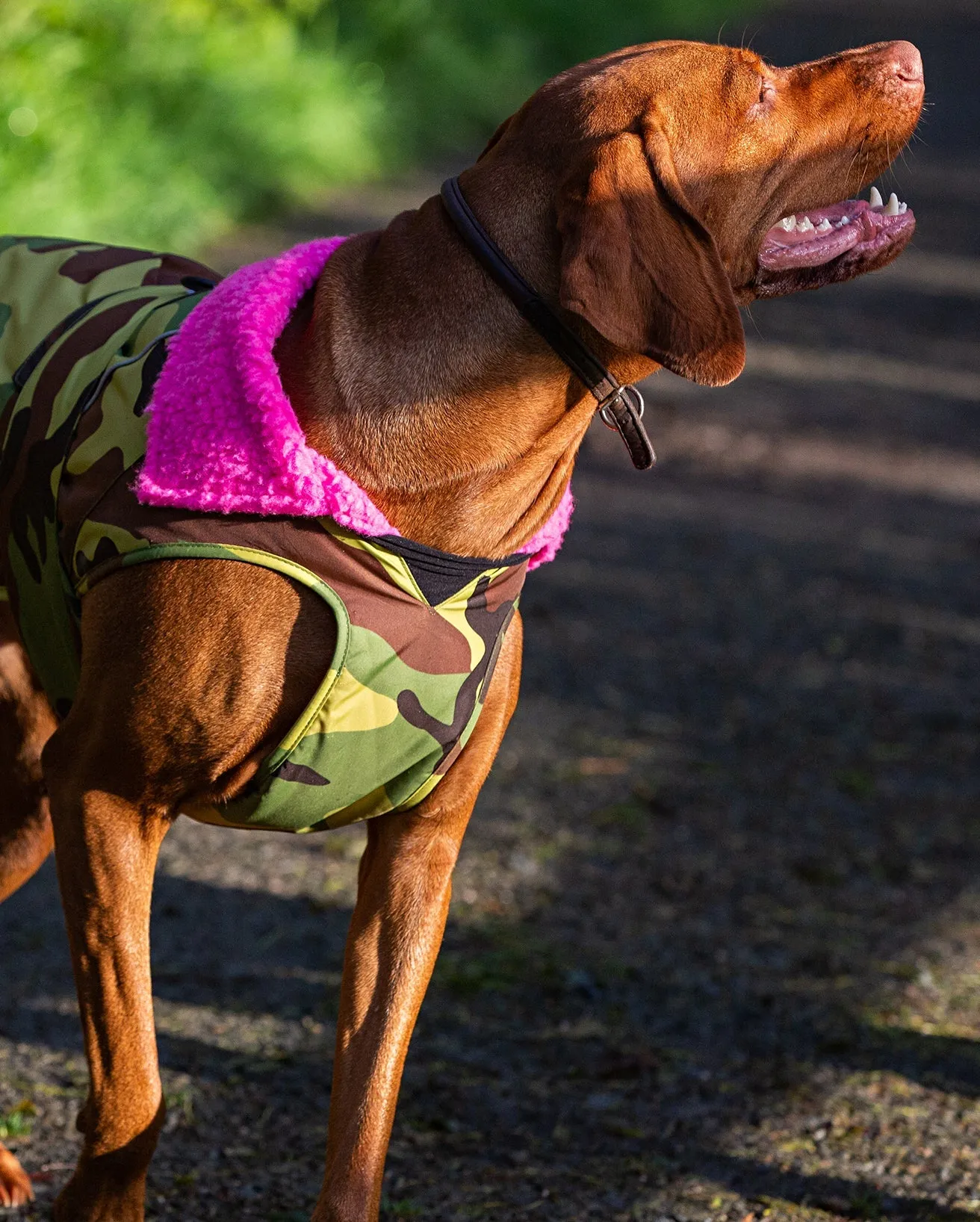 Extra Small Dryrobe Dog (2022) in Camo & Grey