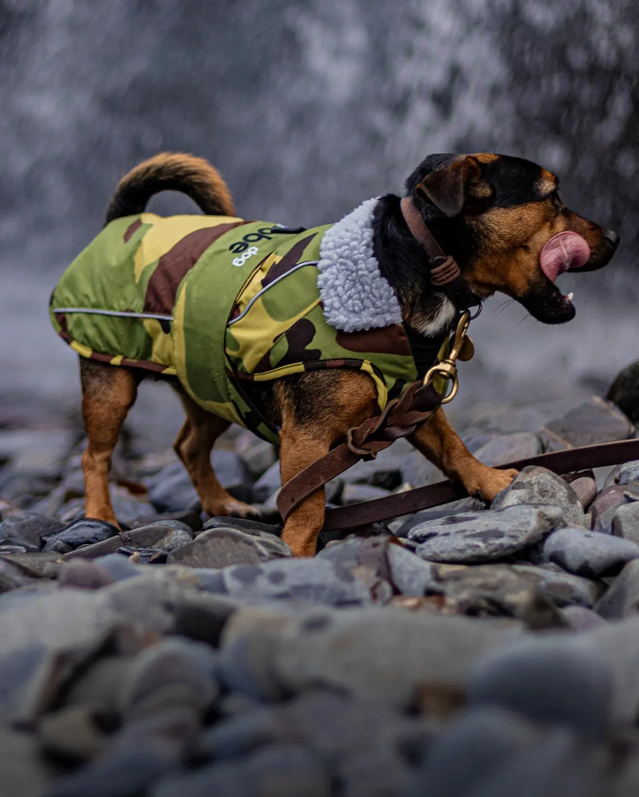 Extra Small Dryrobe Dog (2022) in Camo & Grey