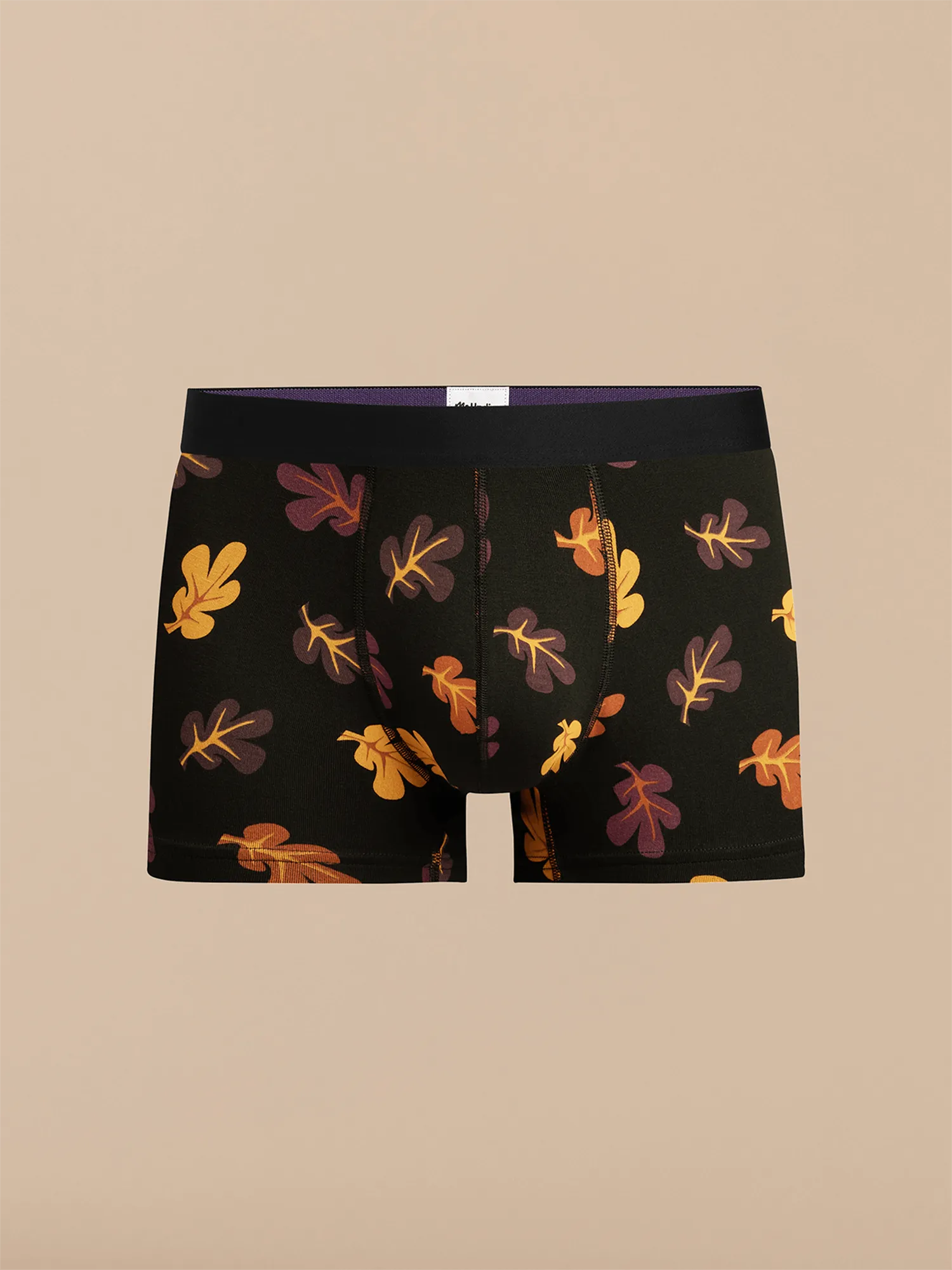 Trunk | Fall Leaves