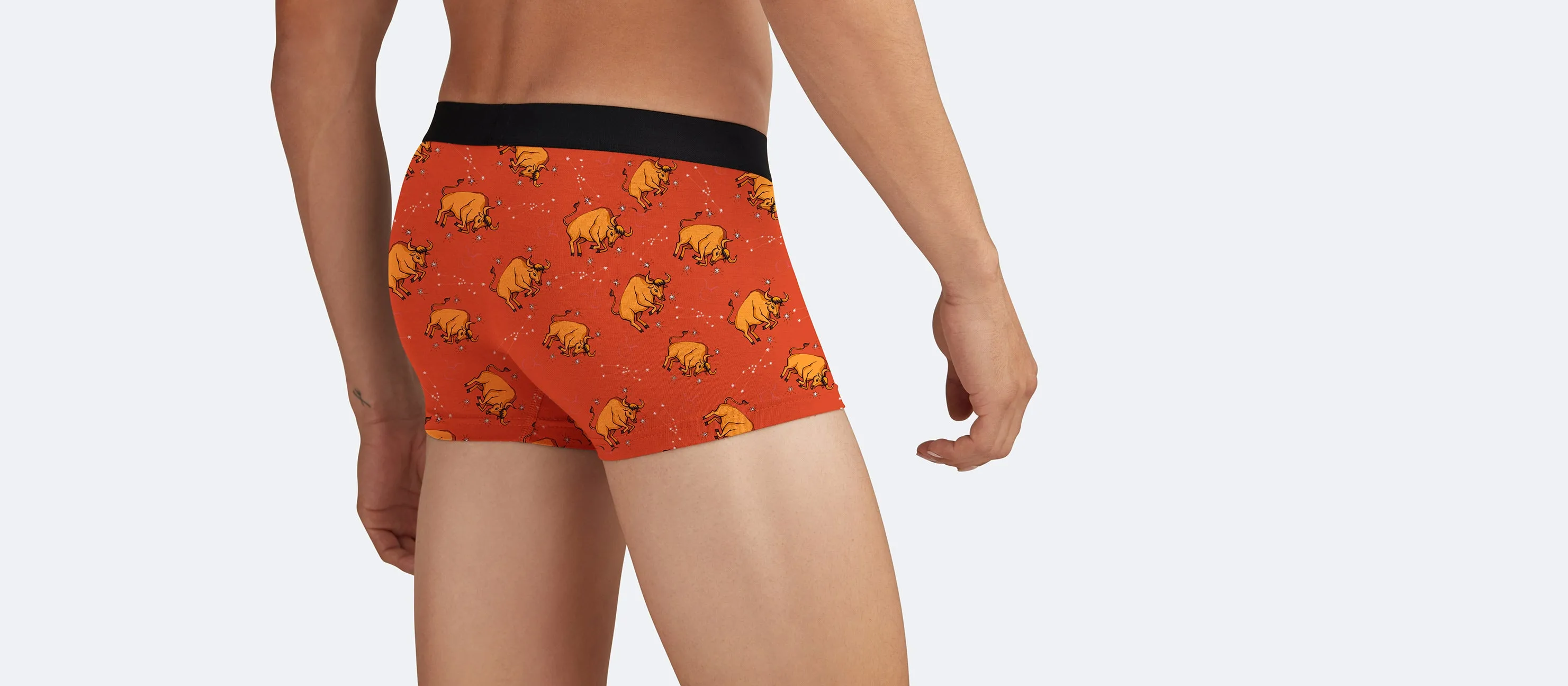 Trunk | Taurus
